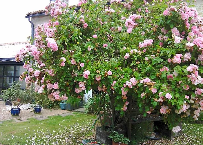 La Rosaliere